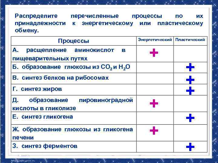 Распределите перечисленные. Процессы относящиеся к энергетическому обмену. Синтез ферментов это пластический или энергетический обмен. Пластический обмен расщепление. К пластическому обмену относится процесс.