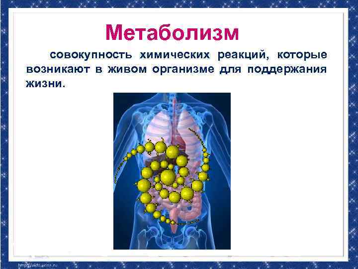 Метаболизм совокупность химических реакций, которые возникают в живом организме для поддержания жизни. 
