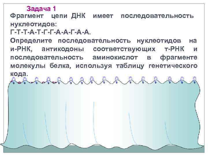 Задача 1 Фрагмент цепи ДНК имеет последовательность нуклеотидов: Г Т Т А Т Г