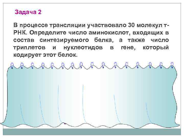 Задача 2 В процессе трансляции участвовало 30 молекул т РНК. Определите число аминокислот, входящих