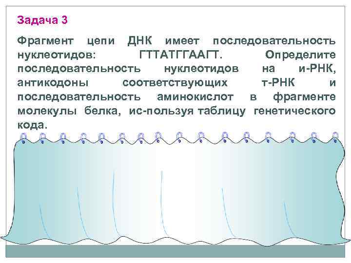 Задача 3 Фрагмент цепи ДНК имеет последовательность нуклеотидов: ГТТАТГГААГТ. Определите последовательность нуклеотидов на и