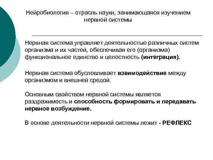 Нейробиология – отрасль науки, занимающаяся изучением нервной системы Нервная система управляет деятельностью различных систем