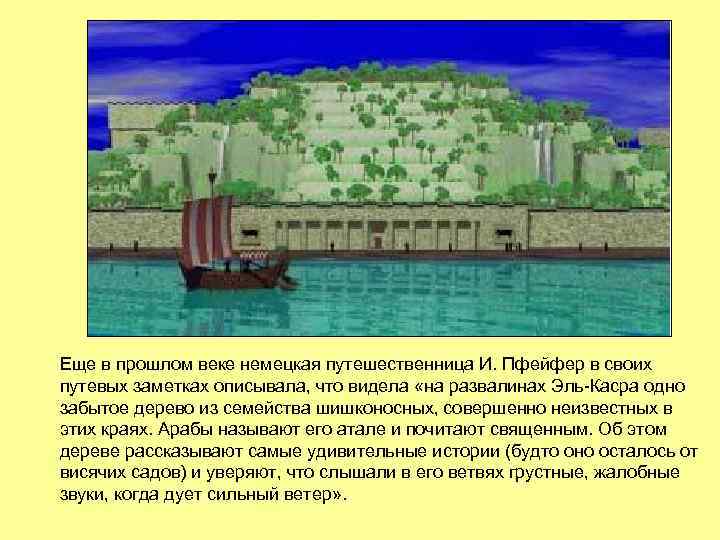 Еще в прошлом веке немецкая путешественница И. Пфейфер в своих путевых заметках описывала, что