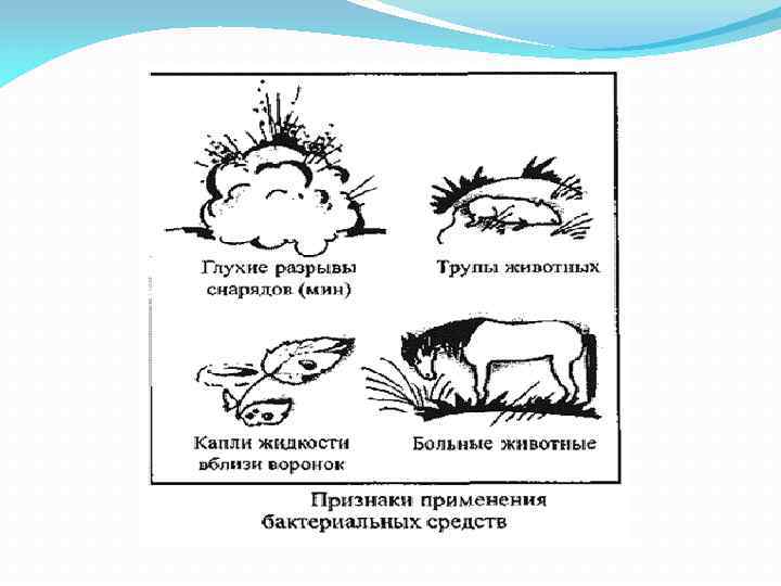 Внешние признаки применения биологического оружия схема