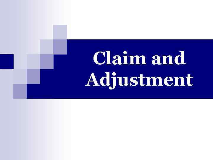 Claim and Adjustment 