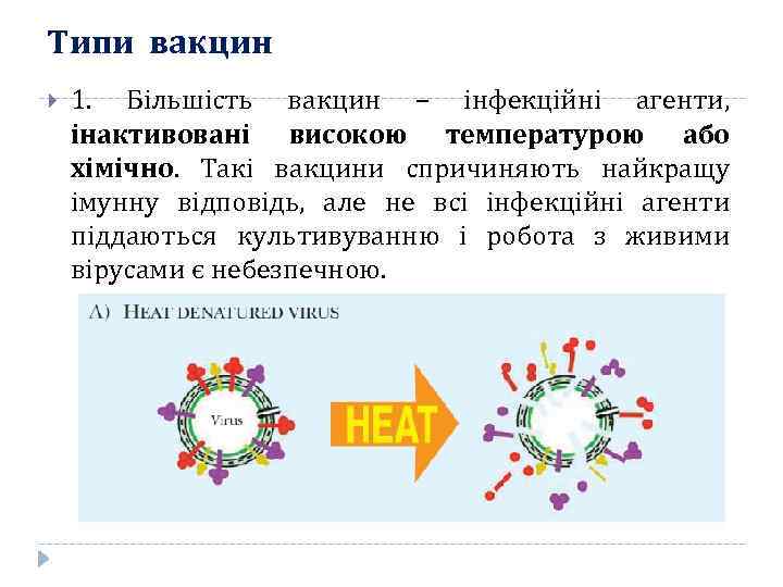 Типи вакцин 1. Більшість вакцин – інфекційні агенти, інактивовані високою температурою або хімічно. Такі