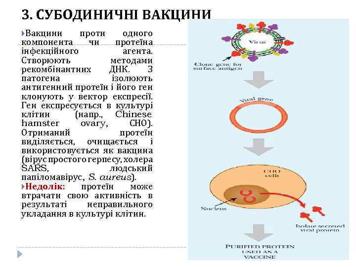 3. СУБОДИНИЧНІ ВАКЦИНИ Вакцини проти одного компонента чи протеїна інфекційного агента. Створюють методами рекомбінантних