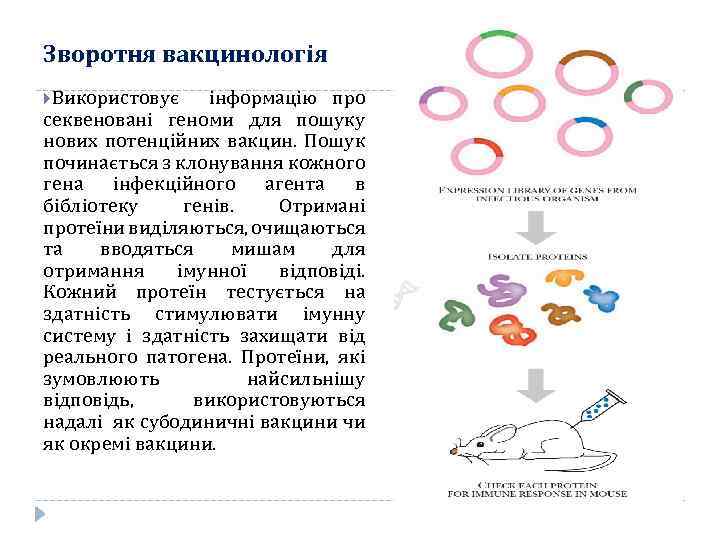 Зворотня вакцинологія Використовує інформацію про секвеновані геноми для пошуку нових потенційних вакцин. Пошук починається