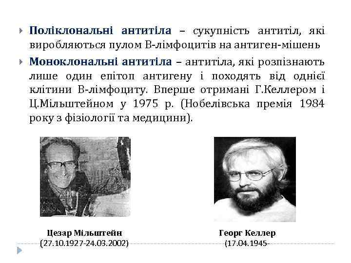  Поліклональні антитіла – сукупність антитіл, які виробляються пулом В-лімфоцитів на антиген-мішень Моноклональні антитіла