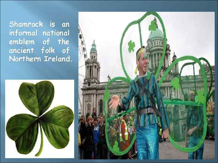 Shamrock is an informal national emblem of the ancient folk of Northern Ireland. 