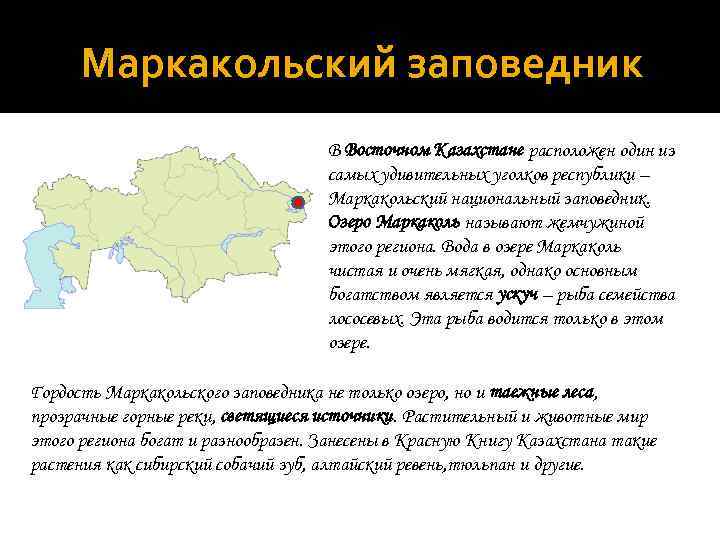 Маркакольский заповедник В Восточном Казахстане расположен один из самых удивительных уголков республики – Маркакольский