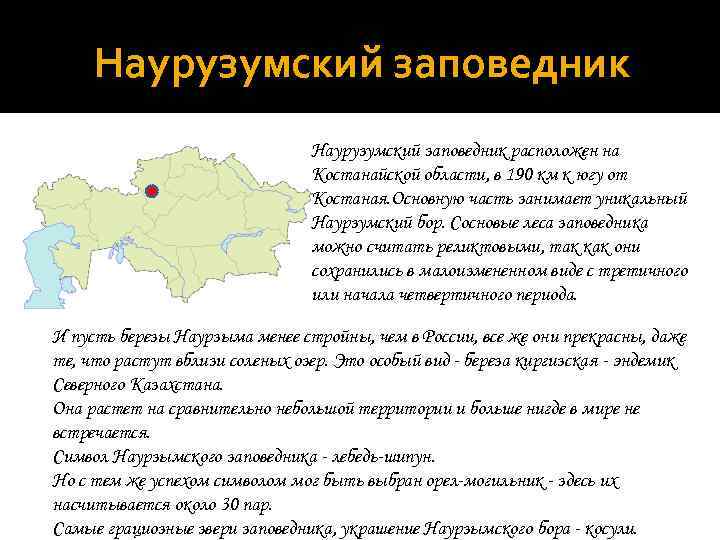 Наурузумский заповедник расположен на Костанайской области, в 190 км к югу от Костаная. Основную