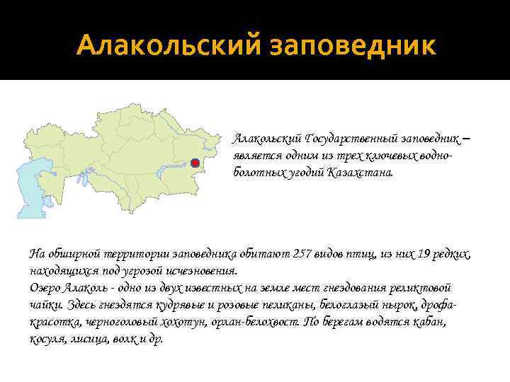 Алакольский заповедник Алакольский Государственный заповедник – является одним из трех ключевых водноболотных угодий Казахстана.