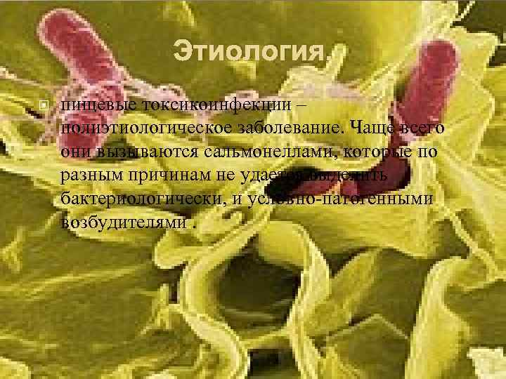 Этиология. пищевые токсикоинфекции – полиэтиологическое заболевание. Чаще всего они вызываются сальмонеллами, которые по разным
