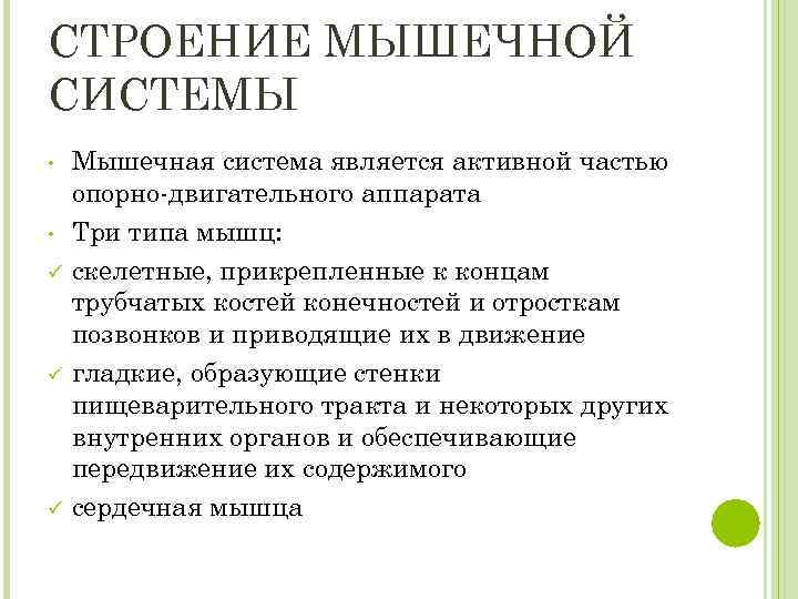 СТРОЕНИЕ МЫШЕЧНОЙ СИСТЕМЫ • • ü ü ü Мышечная система является активной частью опорно-двигательного