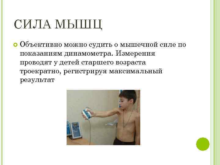 СИЛА МЫШЦ Объективно можно судить о мышечной силе по показаниям динамометра. Измерения проводят у