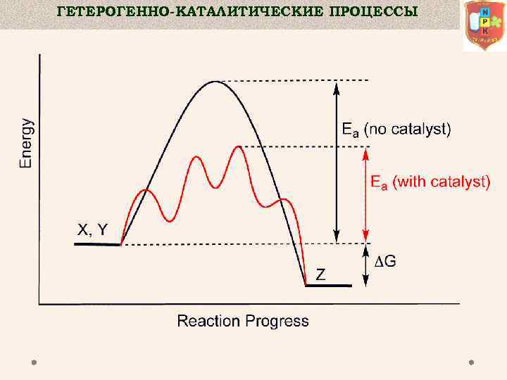 ГЕТЕРОГЕННО-КАТАЛИТИЧЕСКИЕ ПРОЦЕССЫ 