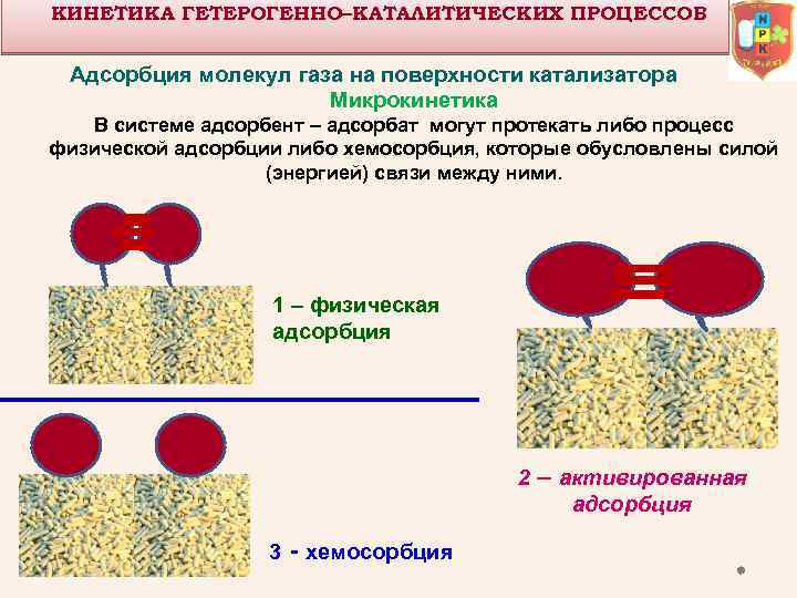 КИНЕТИКА ГЕТЕРОГЕННО–КАТАЛИТИЧЕСКИХ ПРОЦЕССОВ Адсорбция молекул газа на поверхности катализатора Микрокинетика В системе адсорбент –