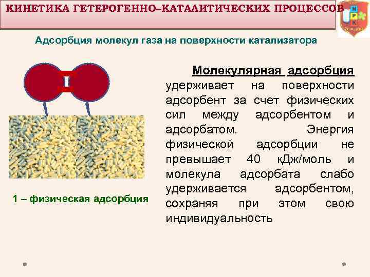 КИНЕТИКА ГЕТЕРОГЕННО–КАТАЛИТИЧЕСКИХ ПРОЦЕССОВ Адсорбция молекул газа на поверхности катализатора Молекулярная 1 – физическая адсорбция