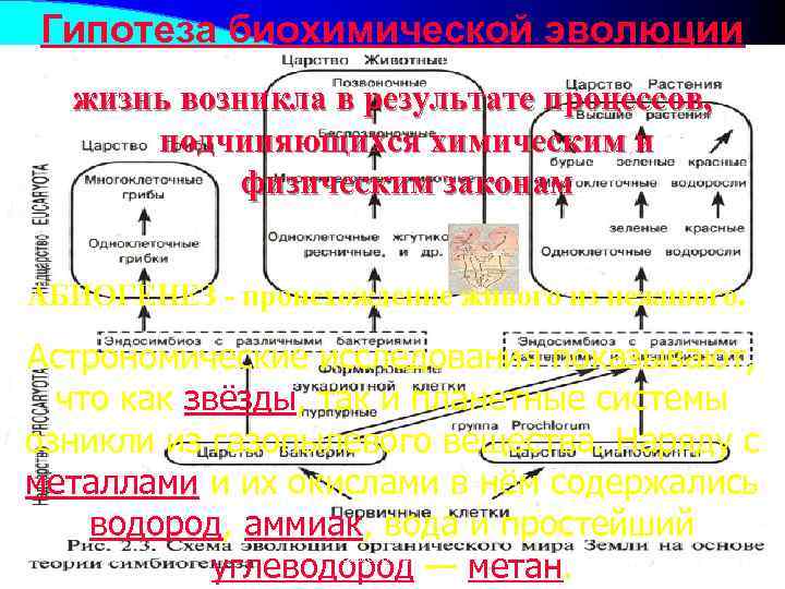 Гипотеза биохимической эволюции картинки