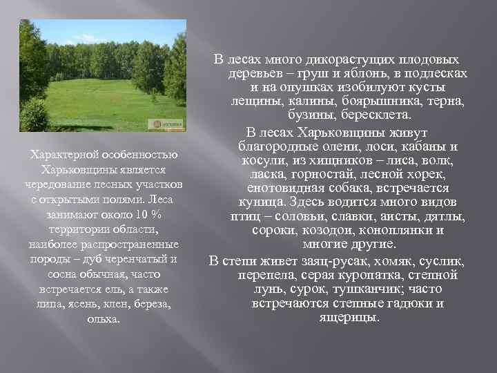 Характерной особенностью Харьковщины является чередование лесных участков с открытыми полями. Леса занимают около 10