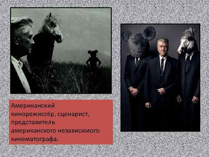 Американский кинорежиссёр, сценарист, представитель американского независимого кинематографа. 