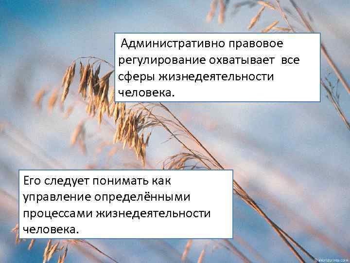 Административно правовое регулирование охватывает все сферы жизнедеятельности человека. Его следует понимать как управление определёнными