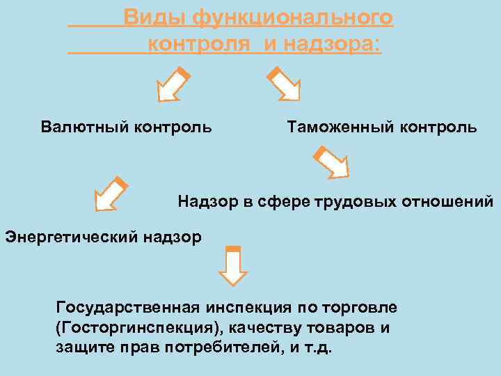 Виды функционального контроля и надзора: Валютный контроль Таможенный контроль Надзор в сфере трудовых отношений