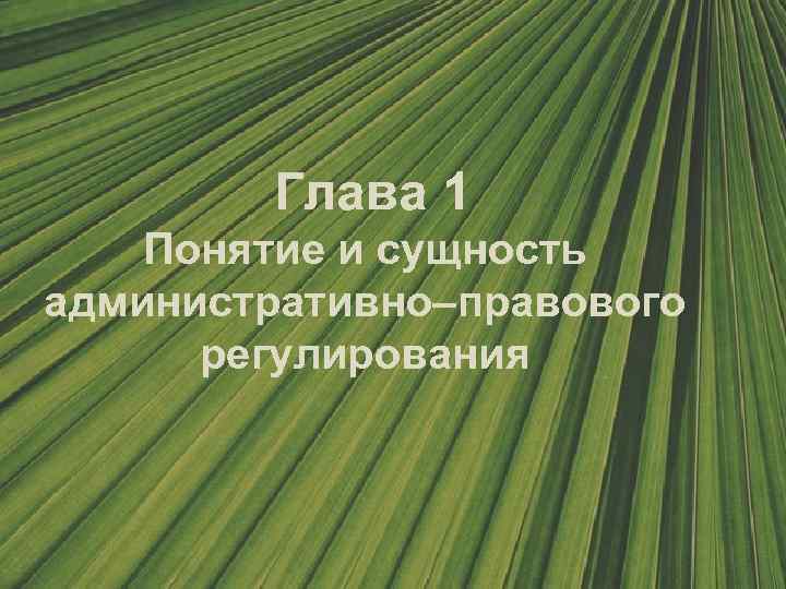 Глава 1 Понятие и сущность административно–правового регулирования 