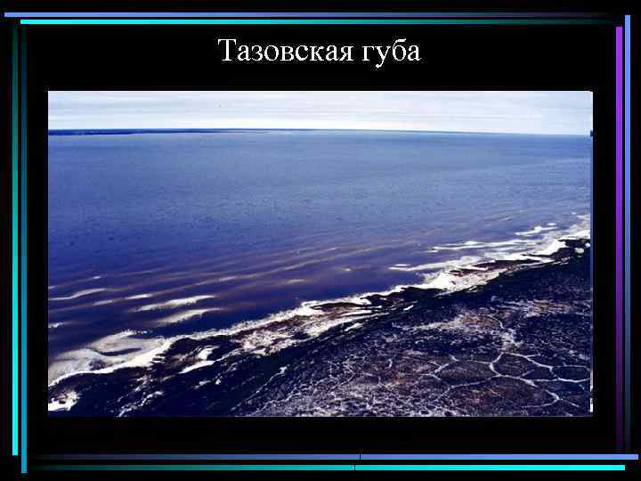 Тазовская губа 