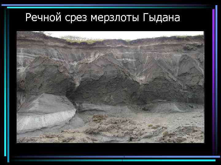  Речной срез мерзлоты Гыдана 