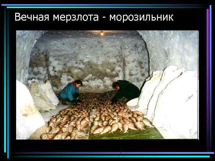  Вечная мерзлота - морозильник 