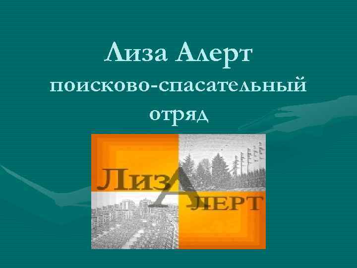 Лиза Алерт поисково-спасательный отряд 
