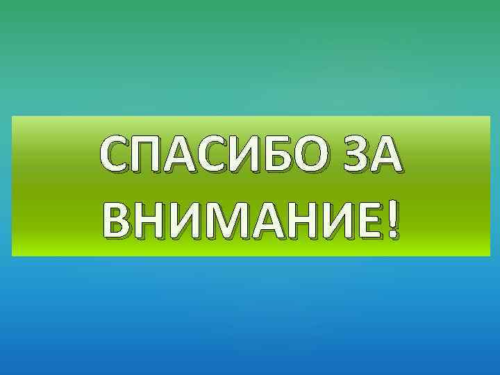 СПАСИБО ЗА ВНИМАНИЕ! 