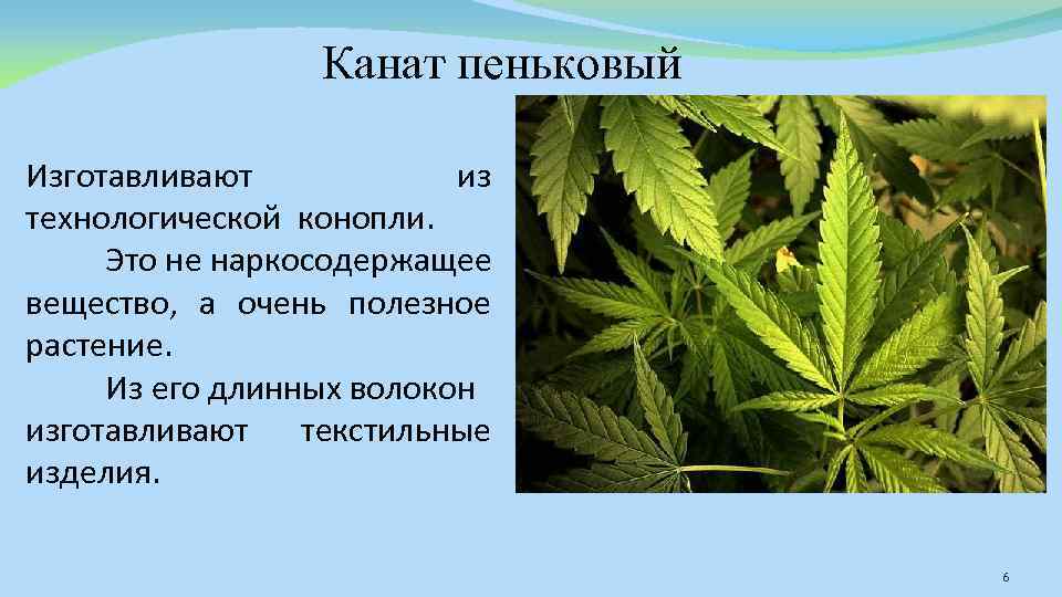 Канат пеньковый Изготавливают из технологической конопли. Это не наркосодержащее вещество, а очень полезное растение.