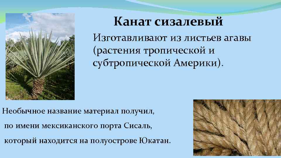 Канат сизалевый Изготавливают из листьев агавы (растения тропической и субтропической Америки). Необычное название материал