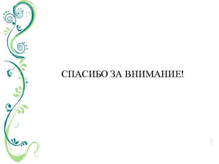 СПАСИБО ЗА ВНИМАНИЕ! 
