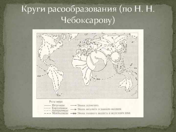 Круги расообразования (по Н. Н. Чебоксарову) 