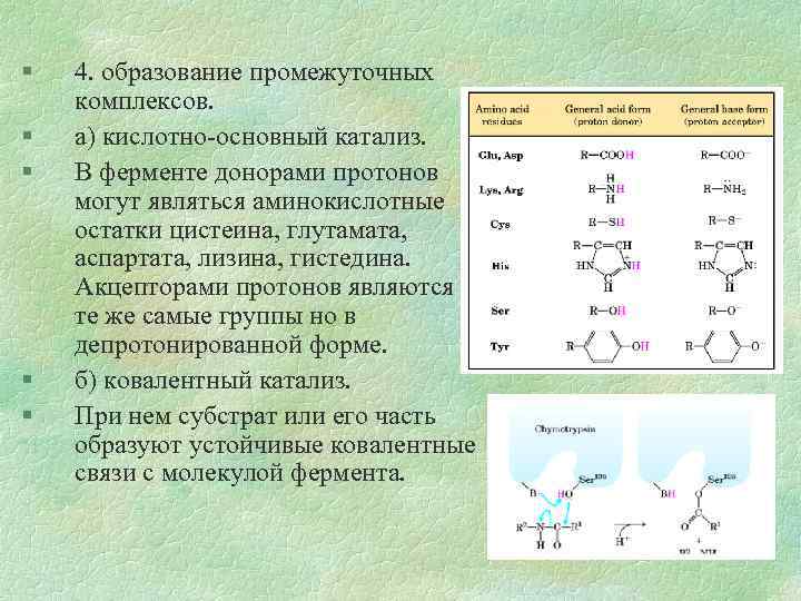 § § § 4. образование промежуточных комплексов. а) кислотно-основный катализ. В ферменте донорами протонов