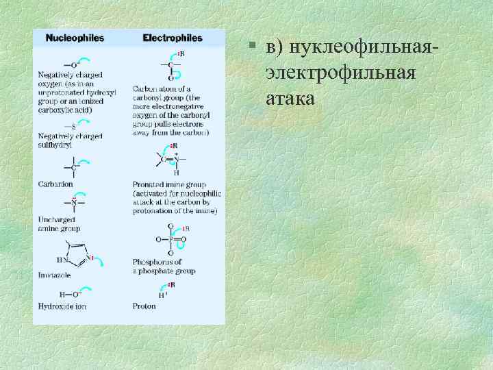 § в) нуклеофильнаяэлектрофильная атака 