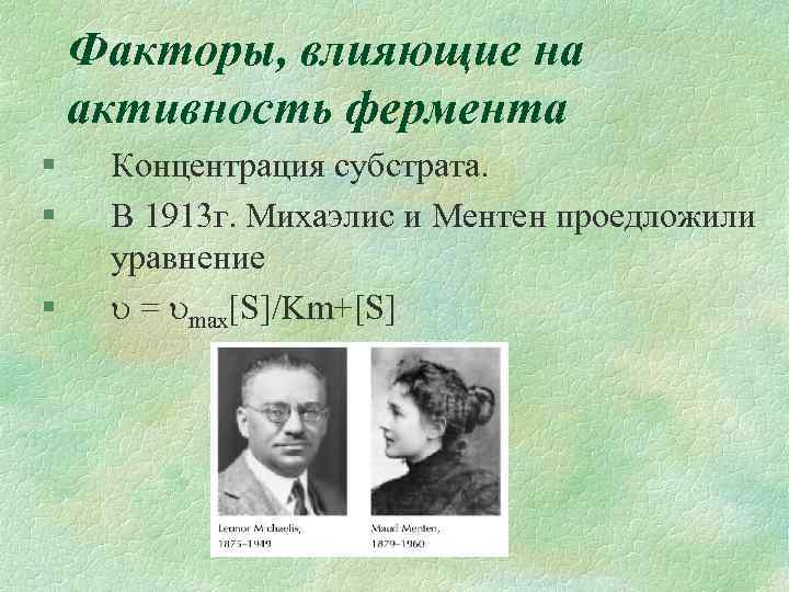 Факторы, влияющие на активность фермента § § § Концентрация субстрата. В 1913 г. Михаэлис