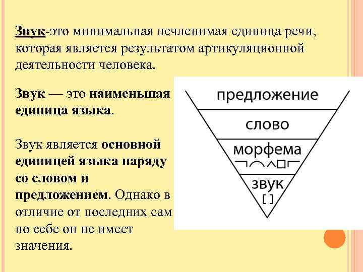 Звук-это минимальная нечленимая единица речи, Звук которая является результатом артикуляционной деятельности человека. Звук —