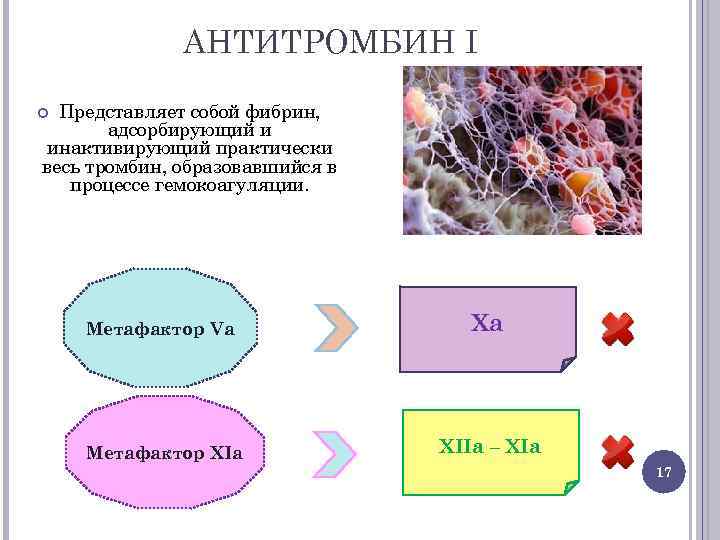 Антитромбин. Антитромбин структура. Антитромбин фибрин. Антитромбин i (АТI, фибрин),. Метафакторы.
