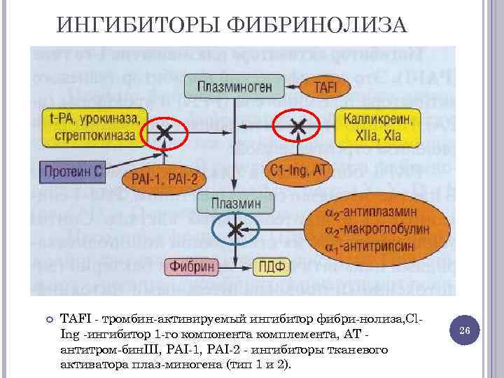 Активаторы фибринолиза. Активаторы и ингибиторы фибринолиза. Ингибиторы фибринолиза. Блокаторы фибринолиза. Ингибиторы фибринолиза механизм действия.