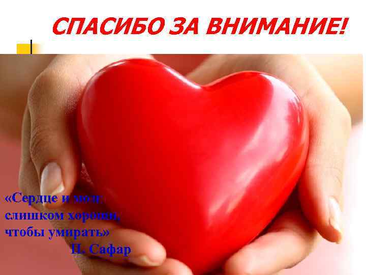 СПАСИБО ЗА ВНИМАНИЕ! «Сердце и мозг слишком хороши, чтобы умирать» П. Сафар 