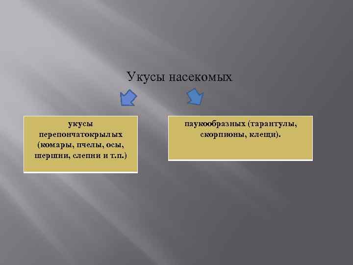 Укусы насекомых укусы перепончатокрылых (комары, пчелы, осы, шершни, слепни и т. п. ) паукообразных