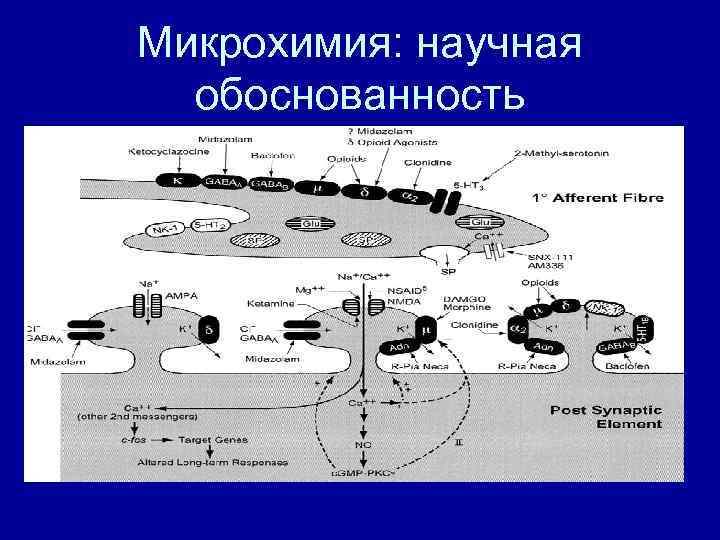 Микрохимия: научная обоснованность 