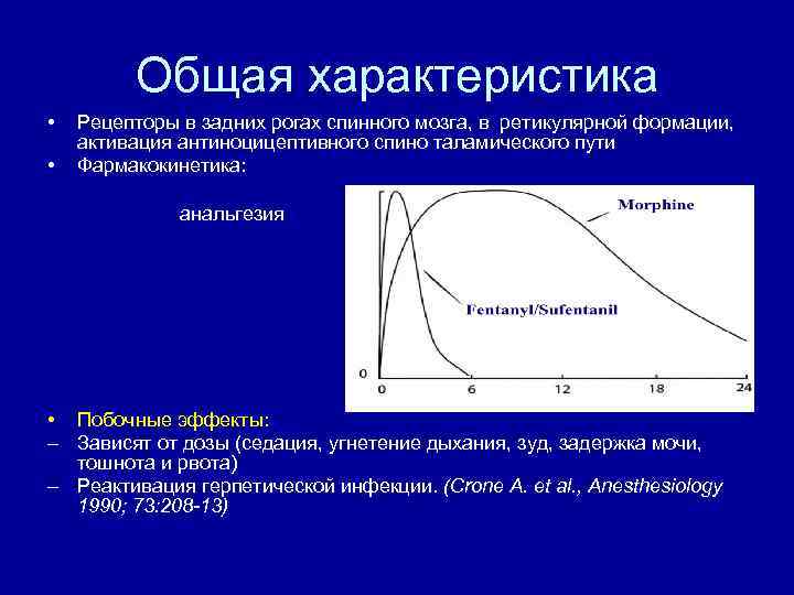 Общая характеристика • • Рецепторы в задних рогах спинного мозга, в ретикулярной формации, активация