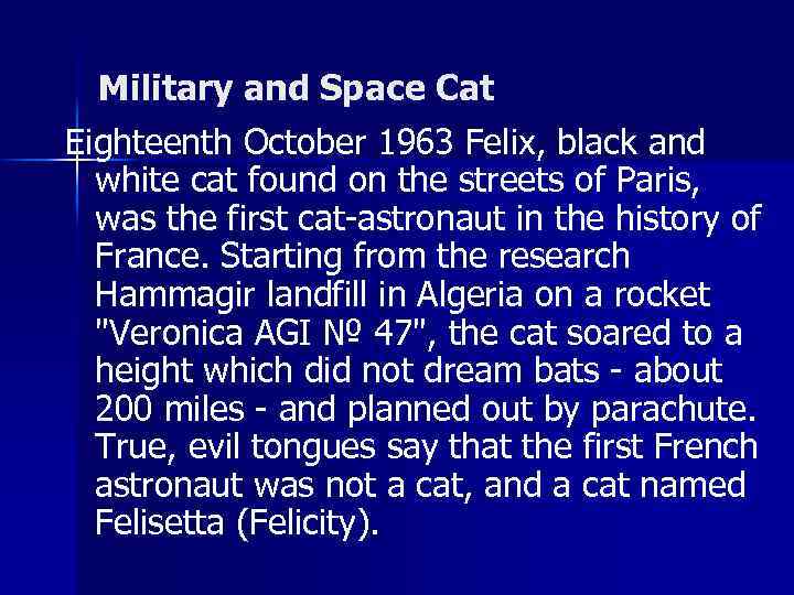 Military and Space Cat Eighteenth October 1963 Felix, black and white cat found on