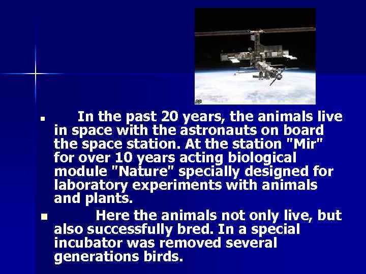 n n In the past 20 years, the animals live in space with the